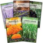 Sow Right Seeds Insect & Pest