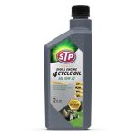 STP Premium Small Engine 4 Cycle