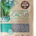 The Grow Co Succulents & Cactus