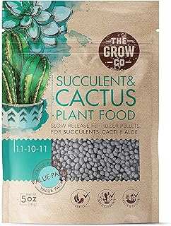 The Grow Co Succulents & Cactus