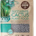 The Grow Co Succulents & Cactus
