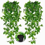 Toprooms 2 Fake Hanging Plants Pot