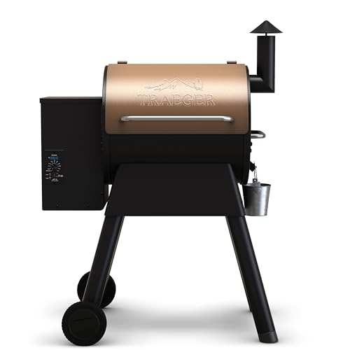Traeger Grills Pro 22 Wood Pellet