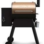 Traeger Grills Pro 22 Wood Pellet
