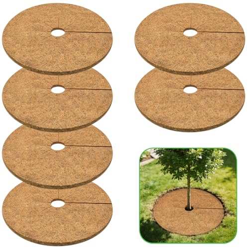 ZeeDix 6 Coconut Fiber Mulch Ring
