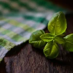 basil plant with curling leaves close up
