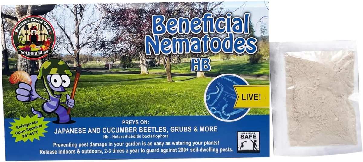 beneficial nematodes grub treatment