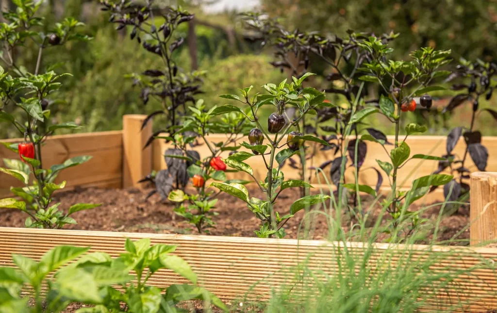 castle block raised bed
