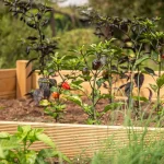 castle block raised bed