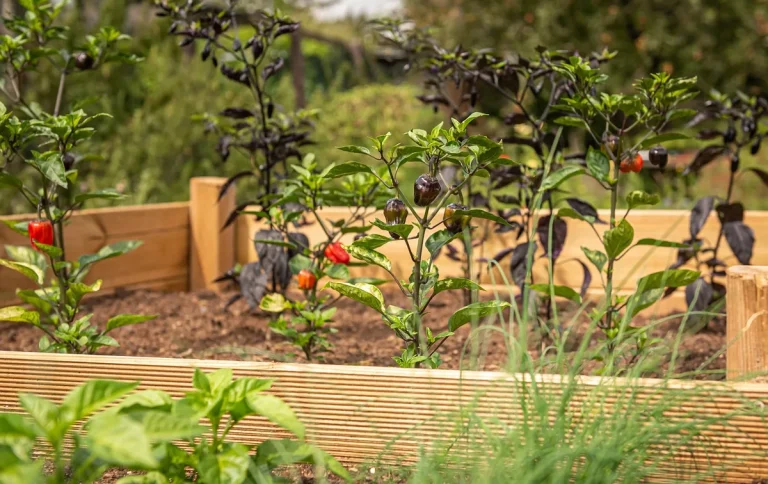 castle block raised bed