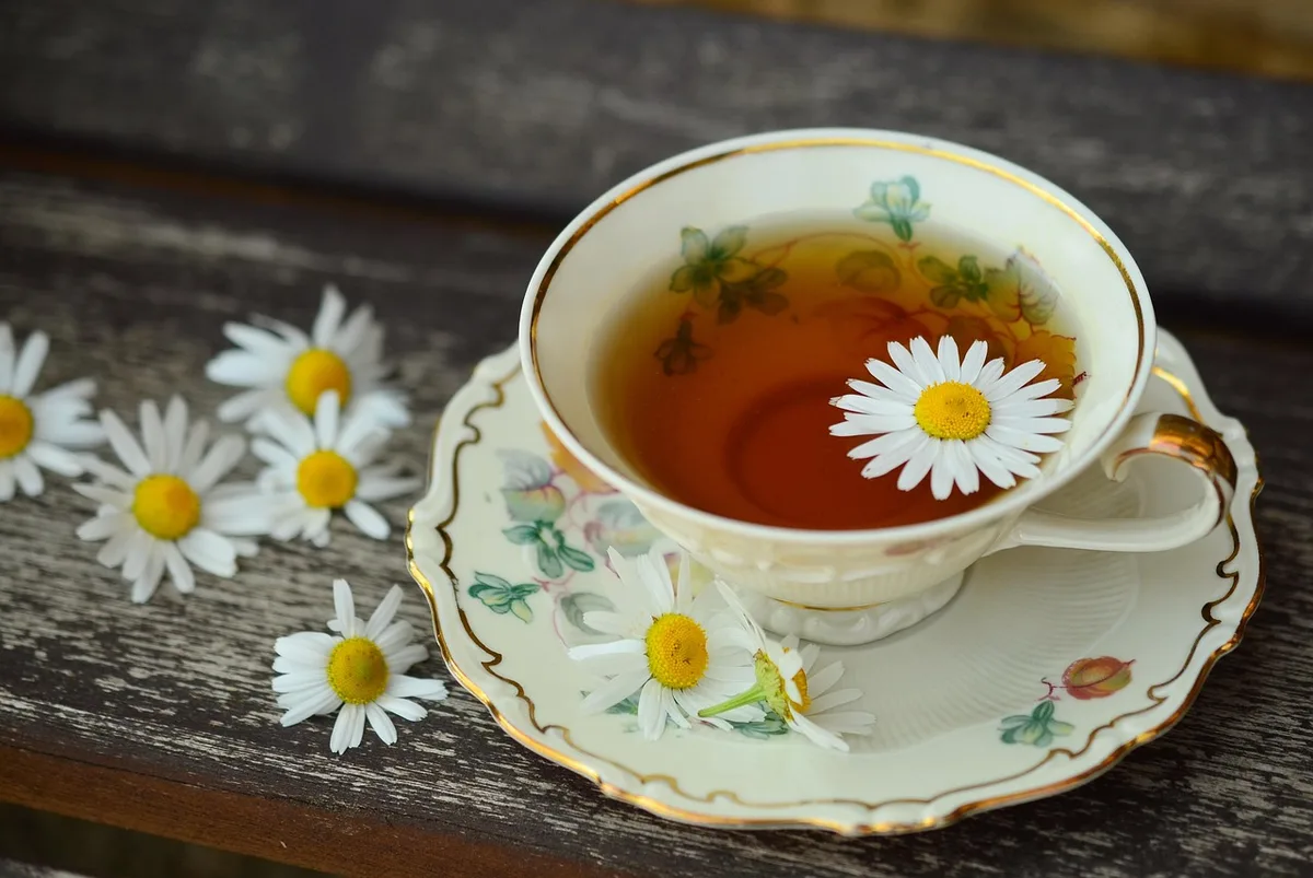 chamomile tea cup dried flowers