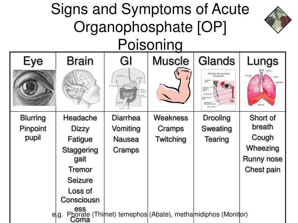 child pesticide exposure symptoms chart