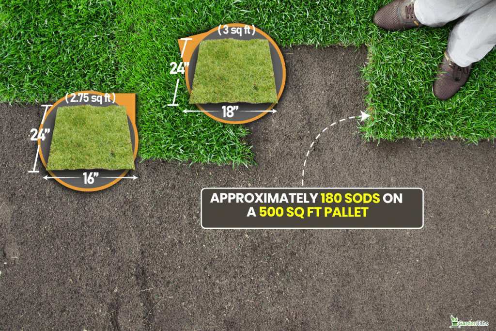 digging test for lawn grubs