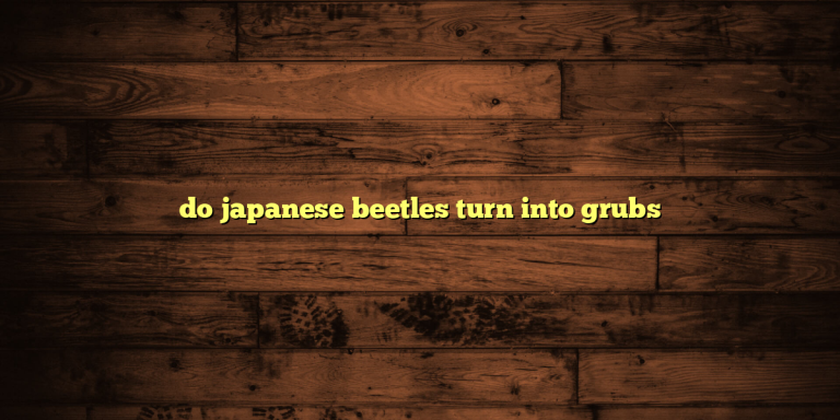 do japanese beetles turn into grubs