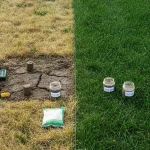 First, What's REALLY Going On With Your Lawn?