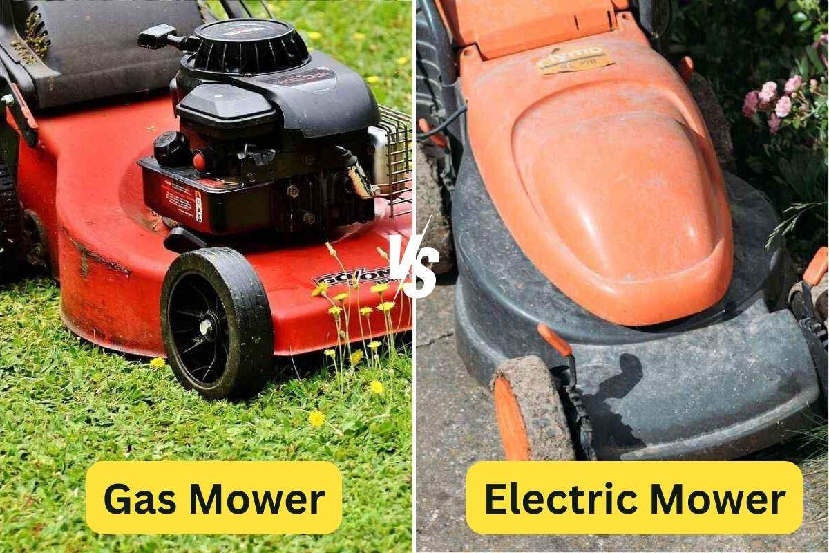 gas vs electric lawn mower side by side