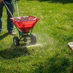 granular grub killer spreader application