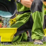 granular lawn spreader application