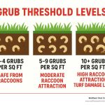 grub count square foot method