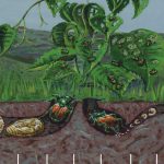 grub life cycle diagram