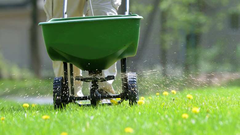 grubEx granular spreader application