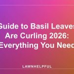 Guide to Basil Leaves Are Curling 2026: Everything You Need