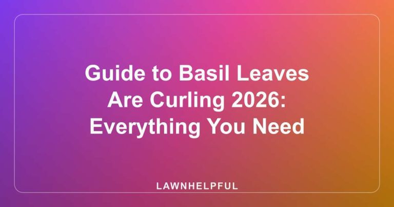 Guide to Basil Leaves Are Curling 2026: Everything You Need