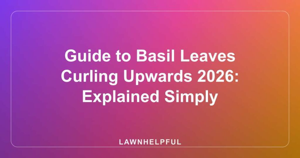 Guide to Basil Leaves Curling Upwards 2026: Explained Simply