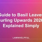 Guide to Basil Leaves Curling Upwards 2026: Explained Simply