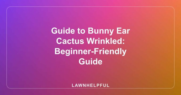 Guide to Bunny Ear Cactus Wrinkled: Beginner-Friendly Guide