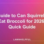 Guide to Can Squirrels Eat Broccoli for 2026: Quick Guide