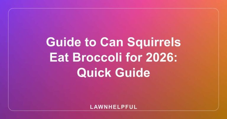 Guide to Can Squirrels Eat Broccoli for 2026: Quick Guide