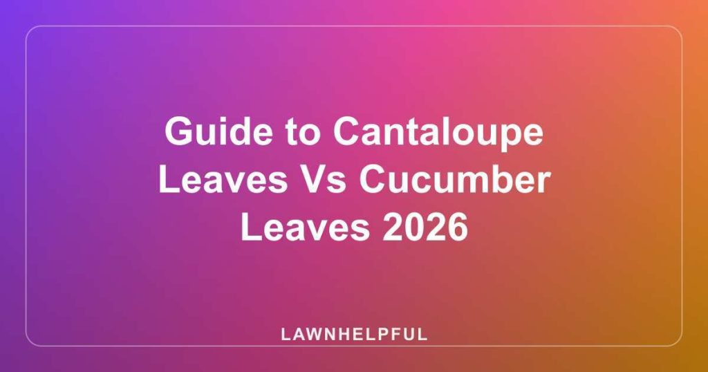 Guide to Cantaloupe Leaves Vs Cucumber Leaves 2026
