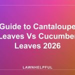 Guide to Cantaloupe Leaves Vs Cucumber Leaves 2026