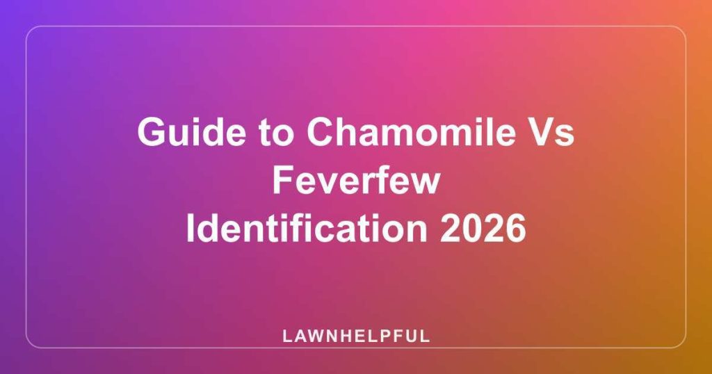 Guide to Chamomile Vs Feverfew Identification 2026