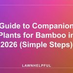 Guide to Companion Plants for Bamboo in 2026 (Simple Steps)