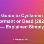 Guide to Cyclamen Dormant or Dead (2026) — Explained Simply