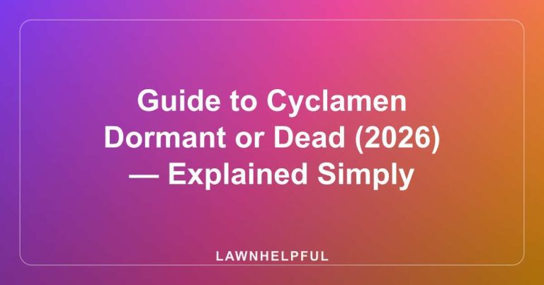Guide to Cyclamen Dormant or Dead (2026) — Explained Simply