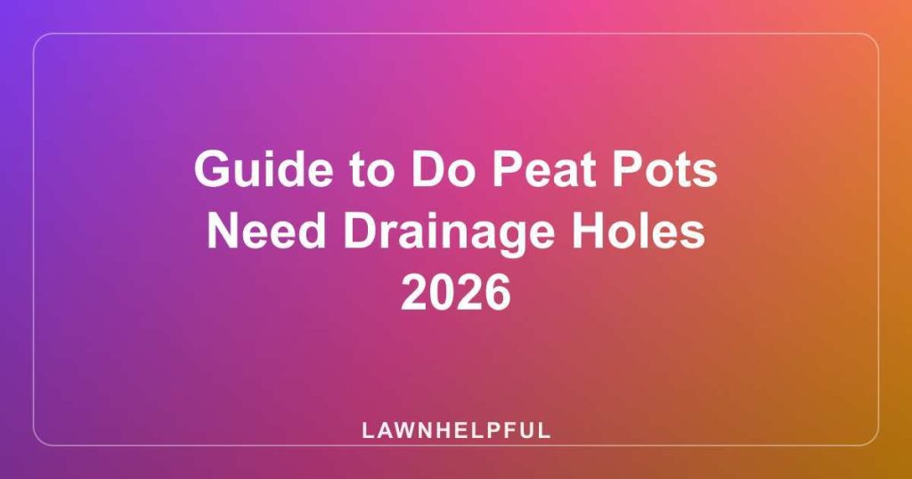 Guide to Do Peat Pots Need Drainage Holes 2026
