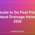Guide to Do Peat Pots Need Drainage Holes 2026
