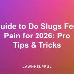 Guide to Do Slugs Feel Pain for 2026: Pro Tips & Tricks