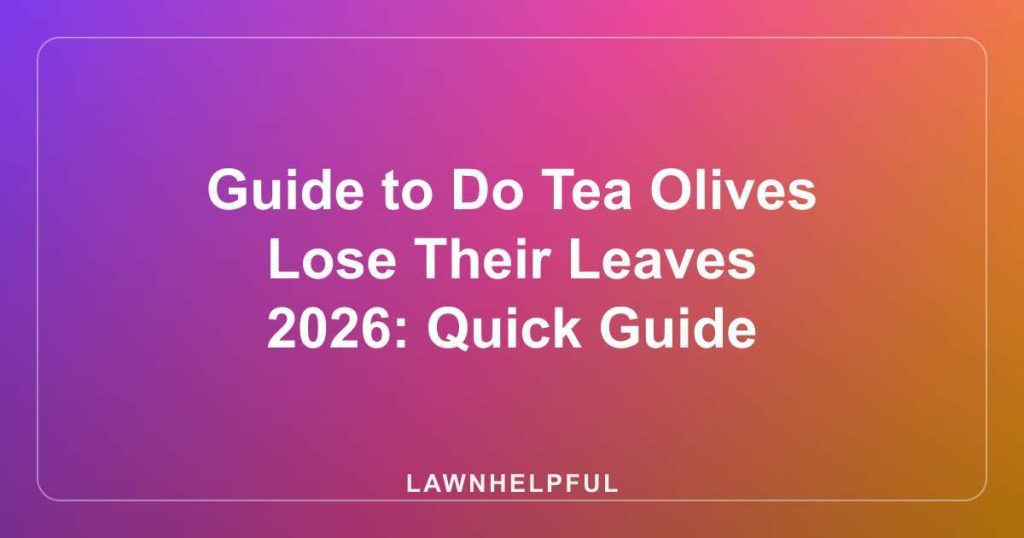Guide to Do Tea Olives Lose Their Leaves 2026: Quick Guide