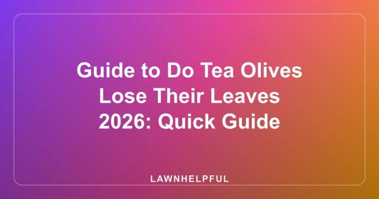 Guide to Do Tea Olives Lose Their Leaves 2026: Quick Guide