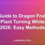 Guide to Dragon Fruit Plant Turning White 2026: Easy Methods