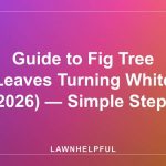 Guide to Fig Tree Leaves Turning White (2026) — Simple Steps