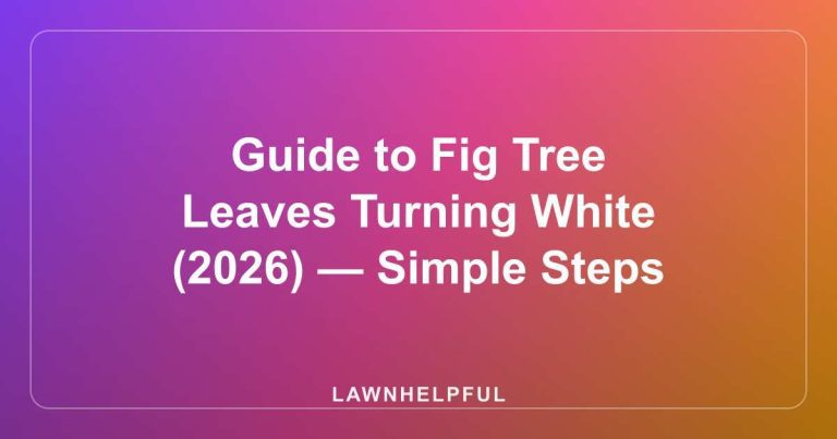 Guide to Fig Tree Leaves Turning White (2026) — Simple Steps