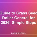 Guide to Grass Seed Dollar General for 2026: Simple Steps