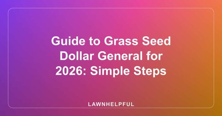 Guide to Grass Seed Dollar General for 2026: Simple Steps