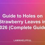 Guide to Holes on Strawberry Leaves in 2026 (Complete Guide)
