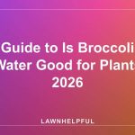 Guide to Is Broccoli Water Good for Plants 2026
